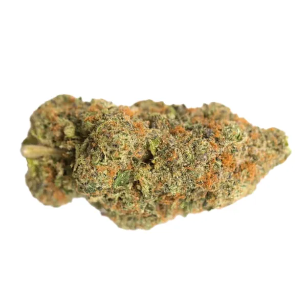 🌿 Strawberry CBD Greenhouse Premium | Tropical Bud