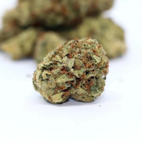 Sunset CBD Greenhouse Premium | Tropical Bud