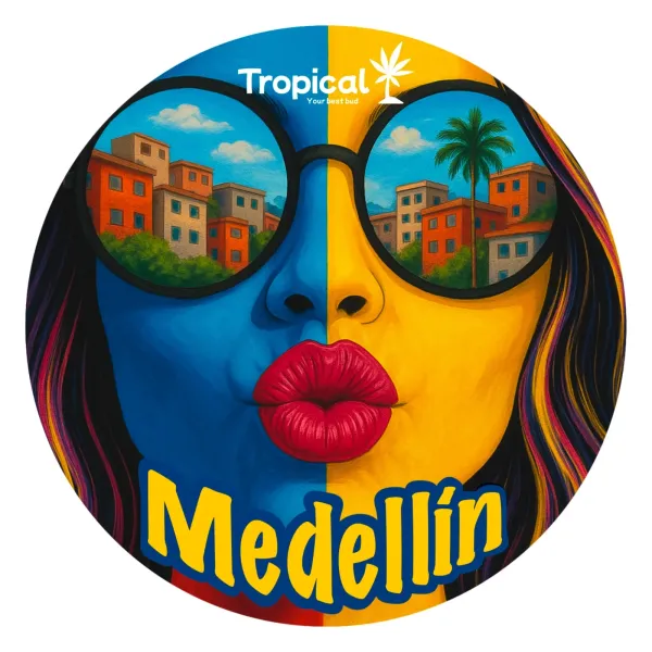 Medellin - Flor de CBD Indoor Premium