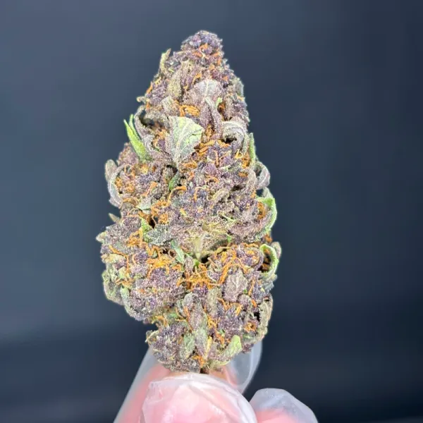 Flor de CBD - Purple Haze