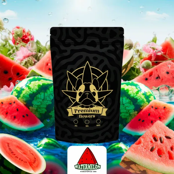 Flor de CBD - Watermelon Hidroponica