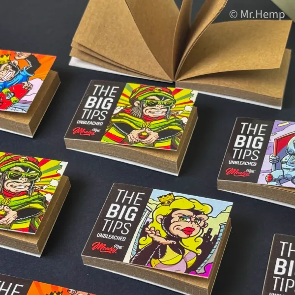 Filtros de Cartão Extra Largos - Monkey King