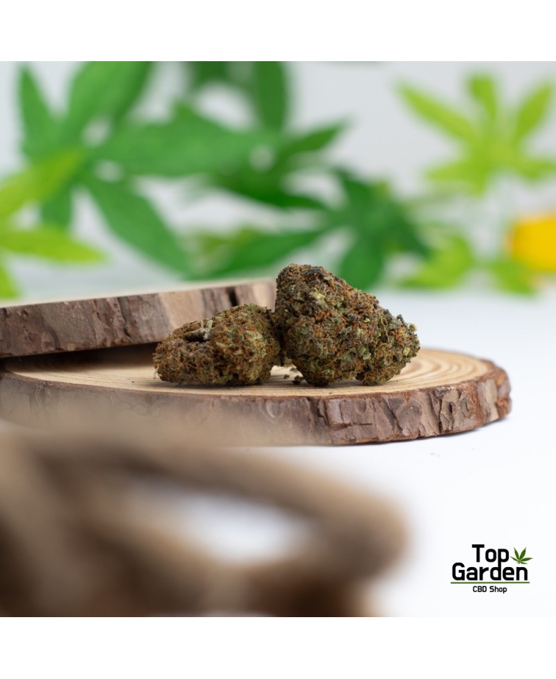 Flor de Cbd Lemon Haze de Pata Verde Flor de Canhamo