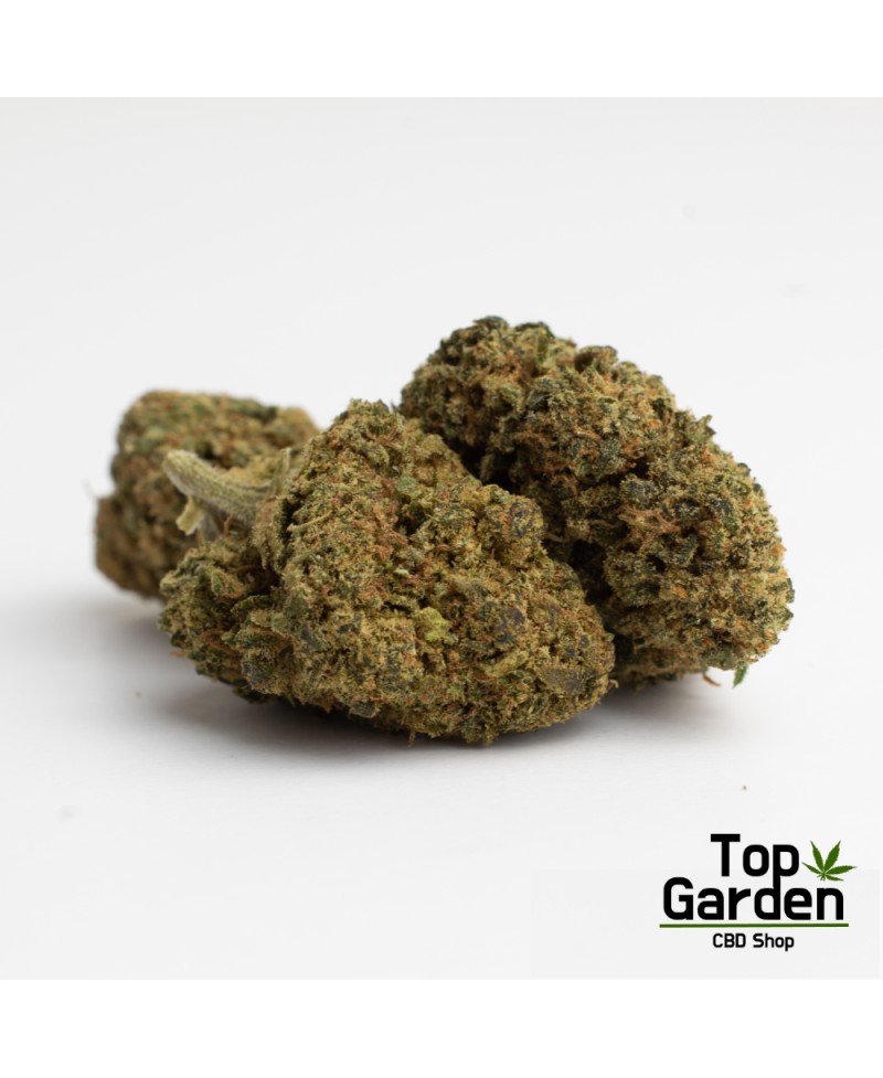 Flor de Cbd Pineapple Kush de Pata Verde Flor de Canhamo