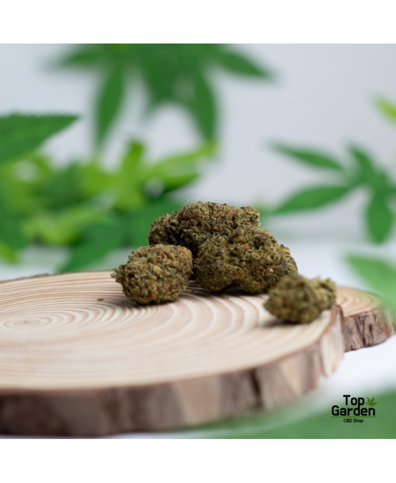 Flor de Cbd Pineapple Kush de Pata Verde Flor de Canhamo