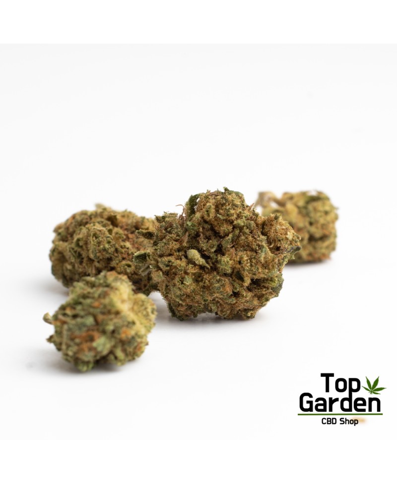 Flor de Cbd Gorilla Glue de Pata Verde Flor de Canhamo