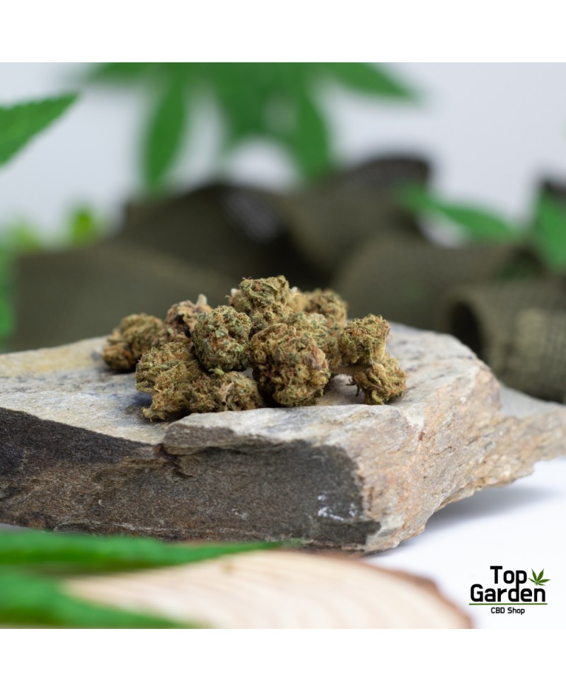 Flor de Cbd Gorilla Glue de Pata Verde Flor de Canhamo