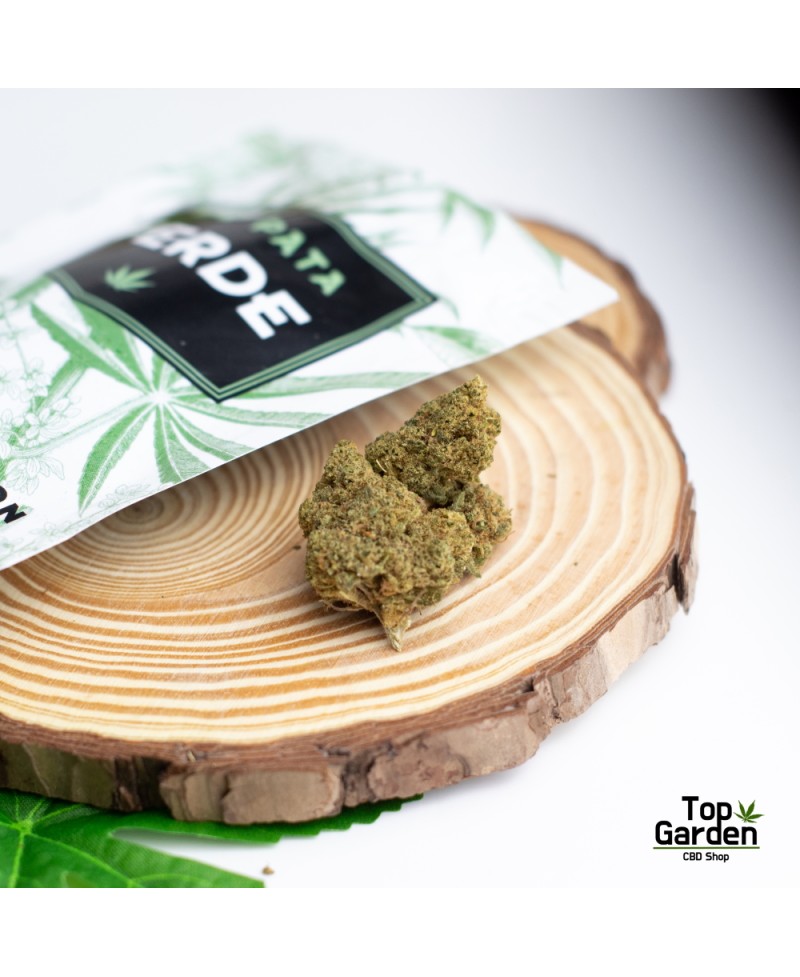 Flor de Cbd Carmagnola de Pata Verde Flor de Canhamo
