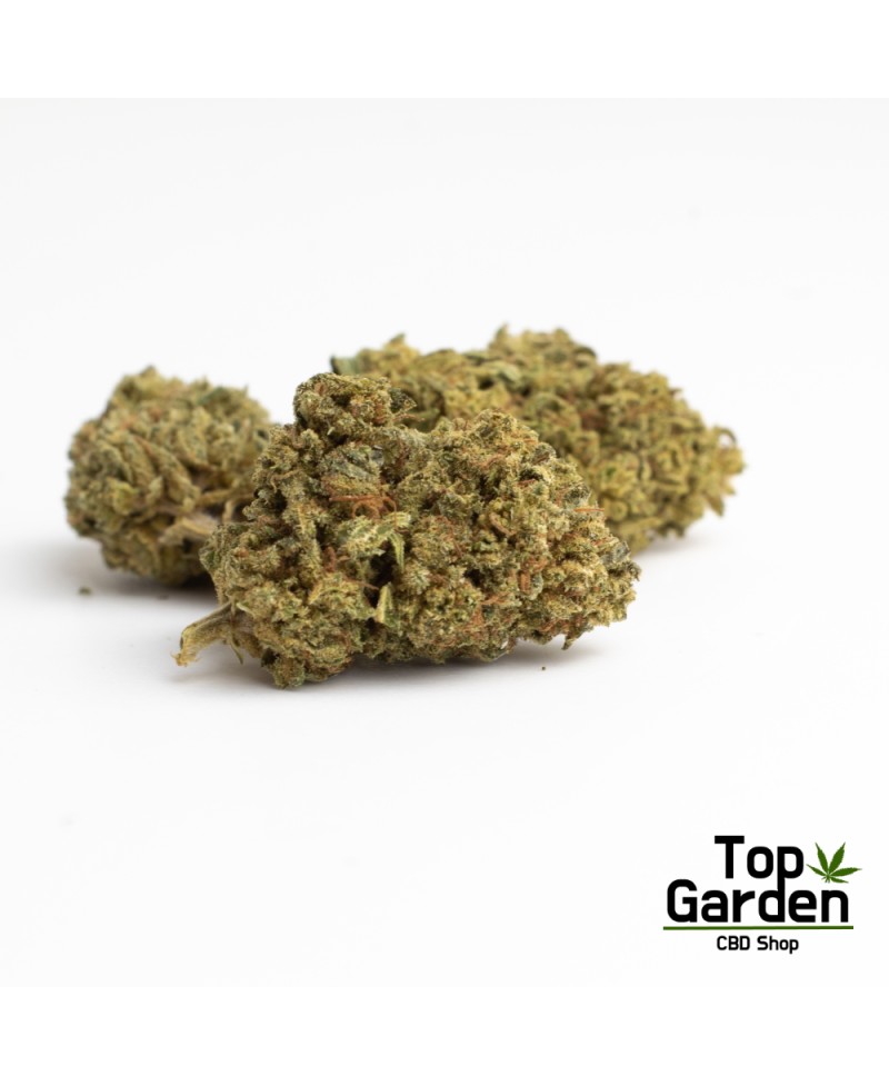 Flor de Cbd Amnesia Haze de Pata Verde Flor de Canhamo