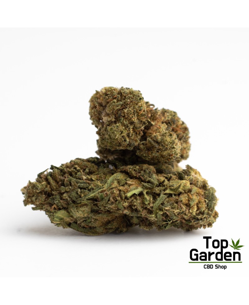 Flor de Cbd Orange Bud de Pata Verde Flor de Canhamo