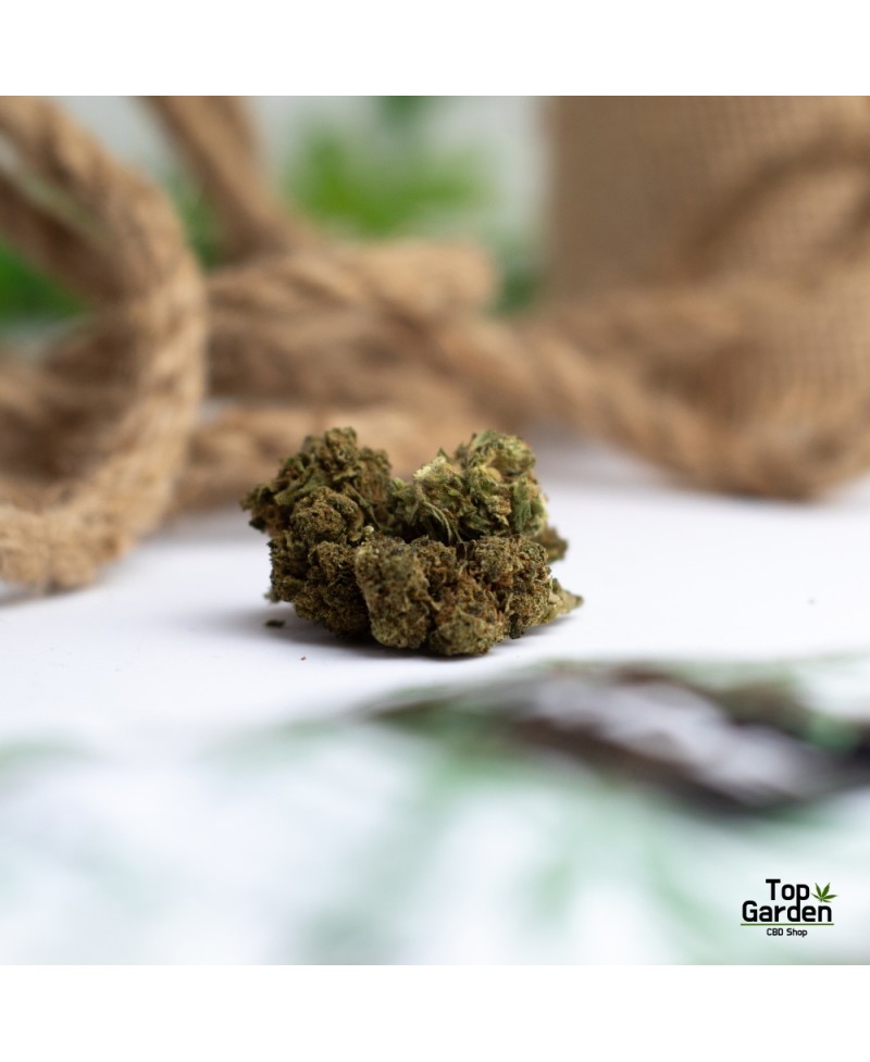 Flor de Cbd Orange Bud de Pata Verde Flor de Canhamo