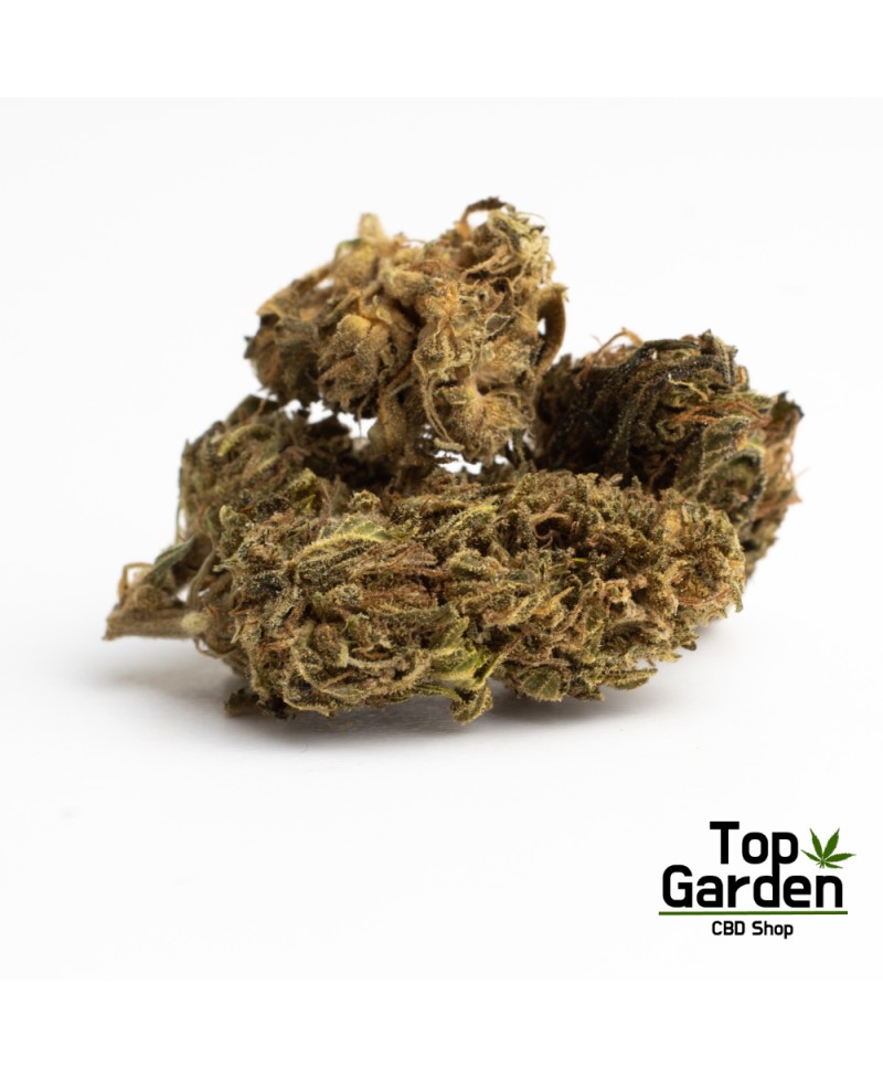 Flor de Cbd Therapy de Pata Verde Flor de Canhamo