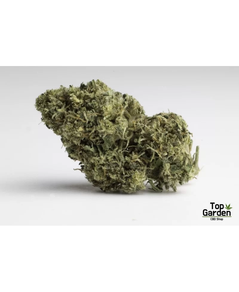 Flor de Cbd Therapy de Pata Verde Flor de Canhamo