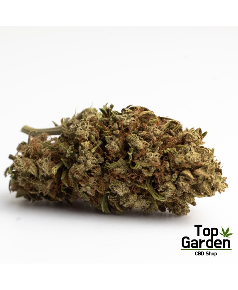 Flor de Cbg Cannatonic de Pata Verde Flor de Canhamo