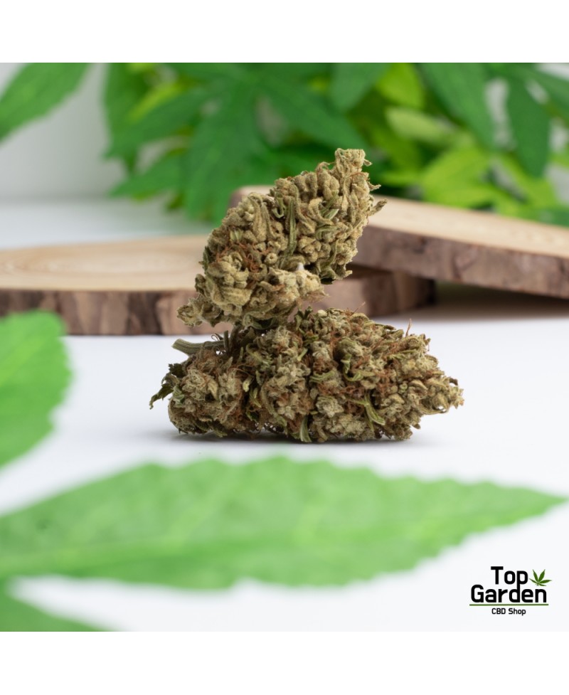 Flor de Cbg Cannatonic de Pata Verde Flor de Canhamo