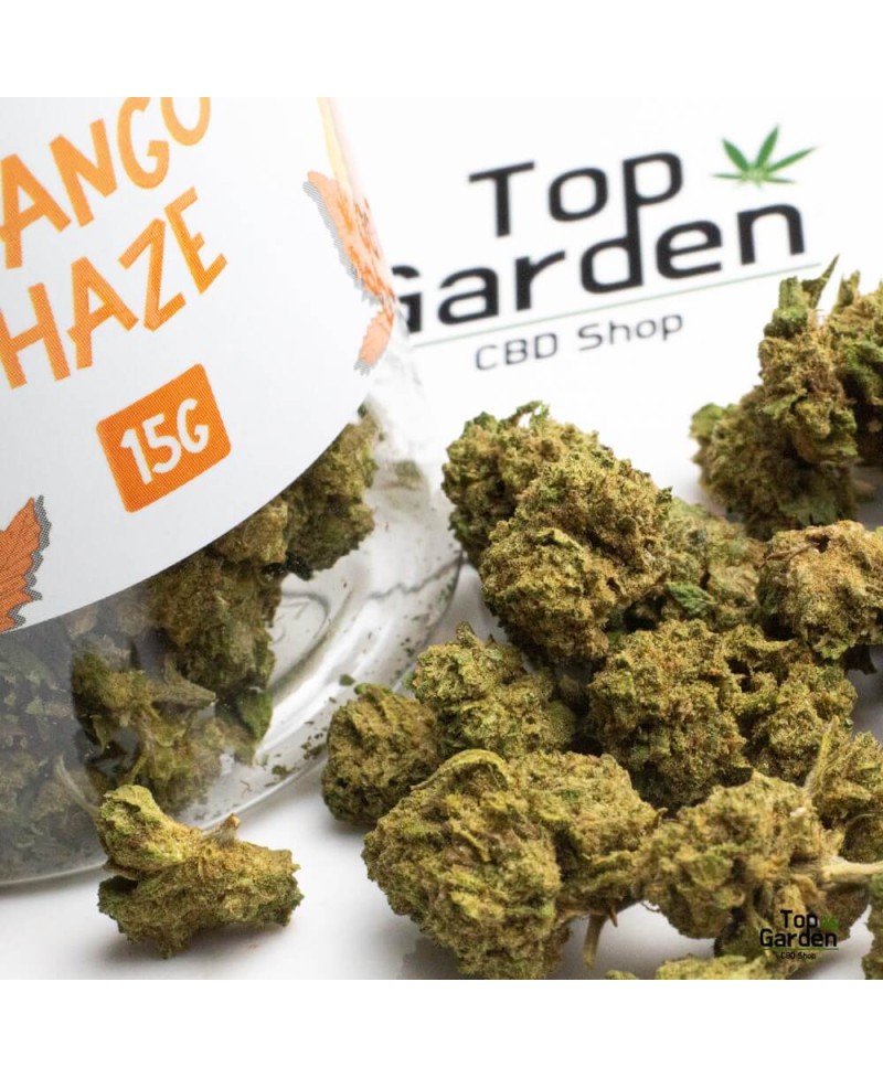 Flor Cbd Small Buds Mango Haze 15gr Greeneo Flor de Canhamo