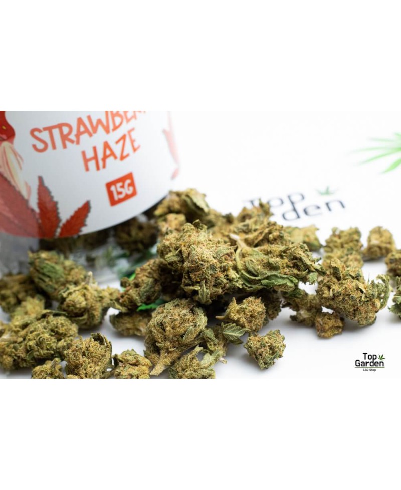 Flor Cbd Small Buds Strawberry Haze 15gr Greeneo Flor de Canhamo