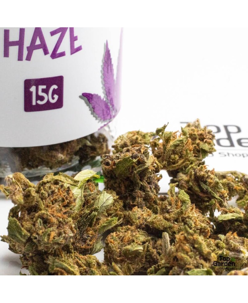Flor Cbd Small Buds Purple Haze 15gr Greeneo Flor de Canhamo