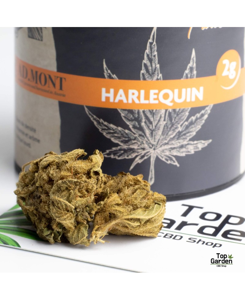 Flor de Cbd Harlequin 2gr Admont Flor de Canhamo